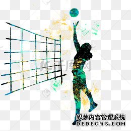 市运会气排球赛点燃星城夏日雨花区代表队摘得冠军