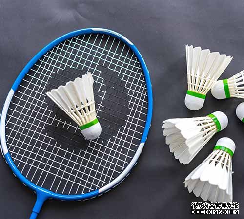 中国羽毛球名将梁伟铿、王昶在杭亮相 传授羽毛球技巧