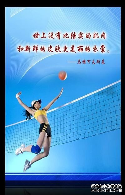 2025年嵊州市老年人气排球交流活动圆满收官
